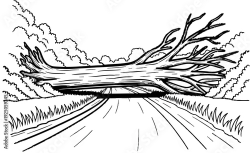 Fallen tree obstructs a road, nature's barrier blocking the path forward
