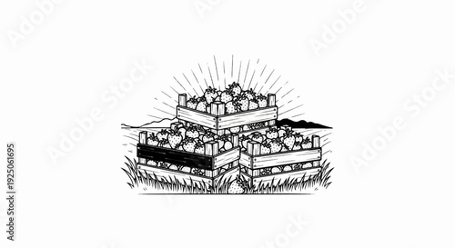 Abundant ripe strawberries fill wooden crates stacked in a field under bright sun rays