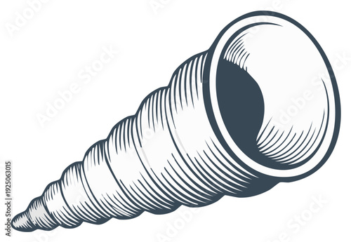 Seashell Marine Life Illustration Antique Vector Shell Design Engraving Spiral Conch Sea Aquatic