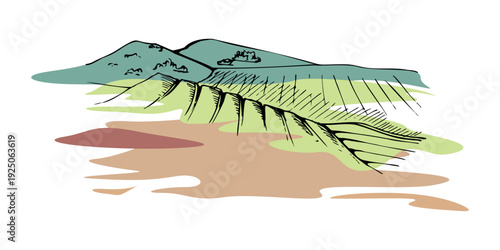Agricultural landscape with patchwork fields and cultivated farmland. Isolated ink vector illustration hand drawn with clean linework. Rural branding, farm food market packaging, educational visuals.