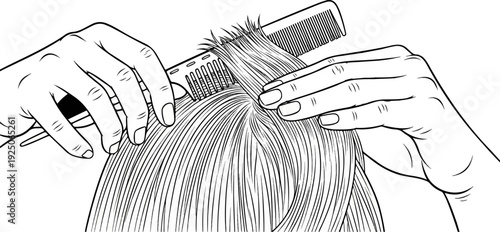 Hands using a comb and scissors to style hair in a black and white illustration