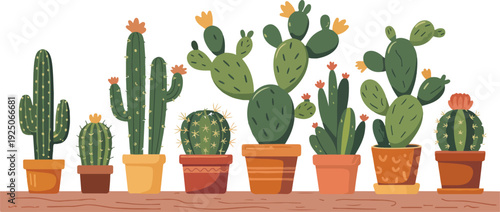 Cactus in a small pot with sharp thorns and green succulent leaves isolated on white background