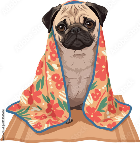 Cute Pug Wrapped In Floral Blanket Sitting On Striped Mat Isolated