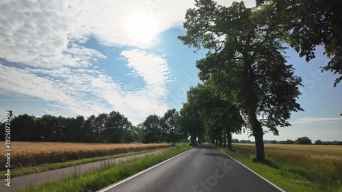 Drive along a tree lined country road