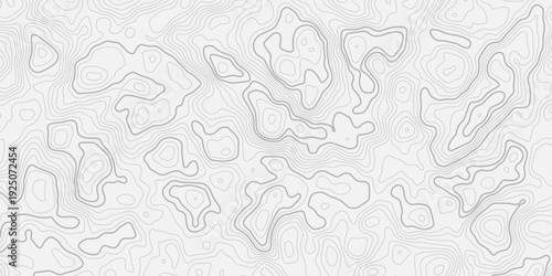 Abstract Geographic Terrain Contour Map with Flowing Elevation Lines Seamless Minimal Background Illustration
