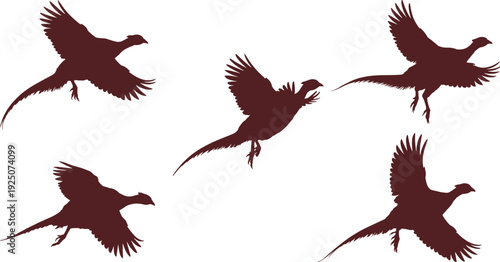 Flying pheasant bird silhouettes set, wildlife vector illustration, isolated dark maroon birds in dynamic flight poses on white background for design and branding templates