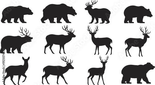 Wild bear and deer silhouette collection with walking and standing forest animal poses, wildlife icons set isolated on white background, cad drawing flat vector illustration.