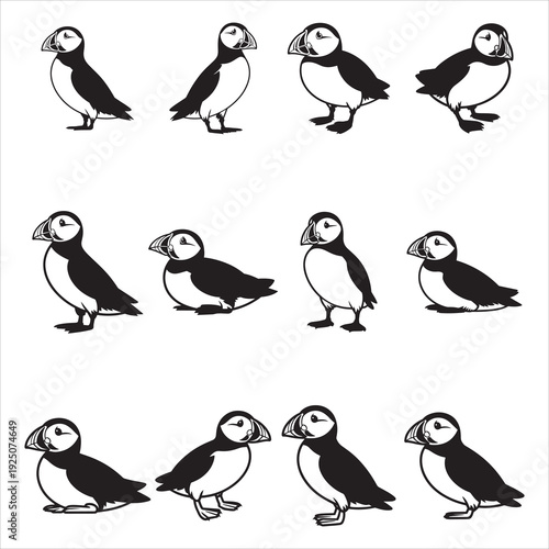 Puffin Bird Illustration Unique Black and White Vector Clip Art
