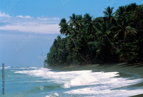 A beach in Corcovado National Park in Costa Rica