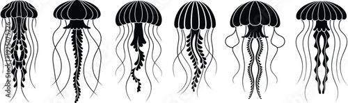Jellyfish silhouette collection, black marine life vector illustration set with detailed tentacles isolated on white background design
