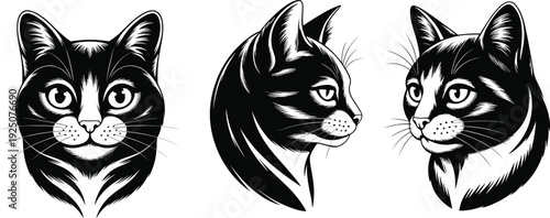 Cartoon illustration of three black and white cats in different artistic styles, showcasing creative feline expressions, shading, and unique character design.