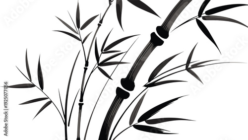 Elegant bamboo branch silhouette with leaves isolated on white background Asian nature ink style vector illustration
