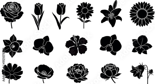 Black silhouettes of various flowers including rose tulip sunflower orchid hibiscus bellflower and peony on white background