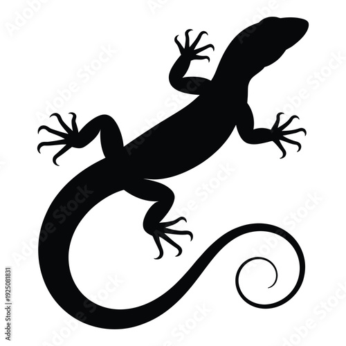 Lizard side profile with long tail Vector, Silhouette, Illustration