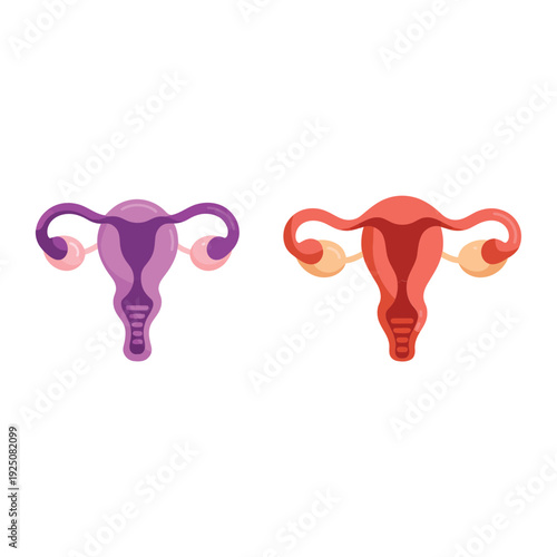Reproductive health uterus icons in gradient tones, gynecology anatomy vector set for clinic branding, fertility education poster, wellness awareness design
