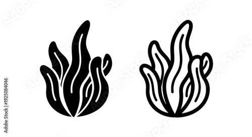Kelp Icon Set: Black Silhouette and Outline for Marine Life and Healthy Food Graphics