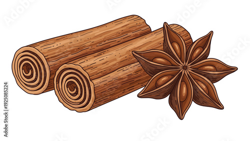 Natural aromatic kitchen spices including whole cinnamon sticks and a single star anise seed pod isolated on a clean white background.