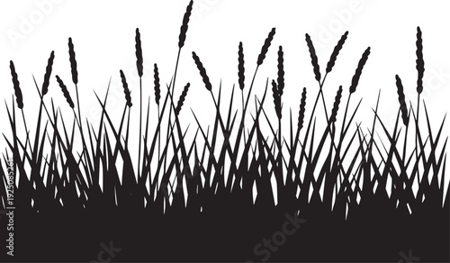 Vector illustration of grass silhouettes with seed heads against a white background showcasing a natural and serene landscape design element.