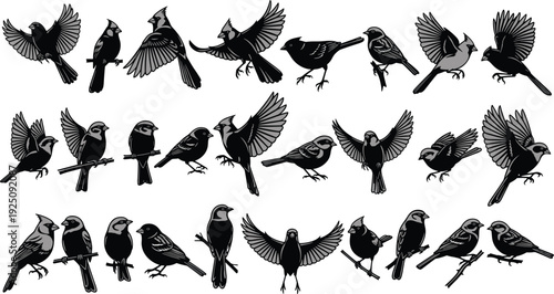 Large Collection of Bird Silhouettes and Illustrations Featuring Cardinals Sparrows and Songbirds Flying and Perching on Branches Isolated on White Background for Nature Graphic Design