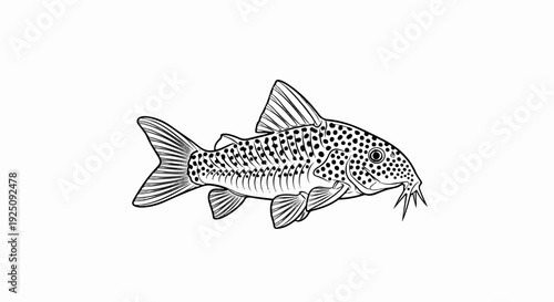 Black and white illustration of a dotted fish with barbels