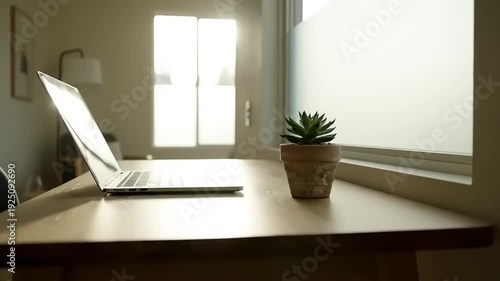 Minimalist Workspace with Laptop and Succulent Plant