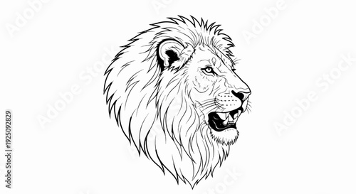 Fierce lion's head illustration, black ink outline, roaring expression