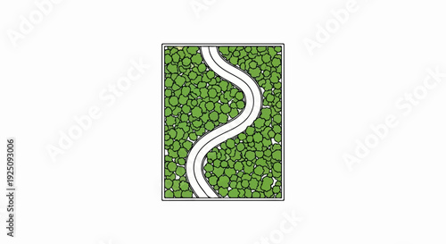 Winding path through lush green foliage, aerial view