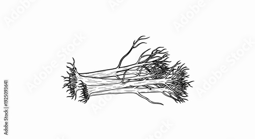 Detailed black and white illustration of a cluster of branches on a white background