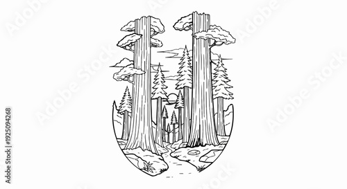 Tall trees line a winding creek through a forest at sunrise or sunset