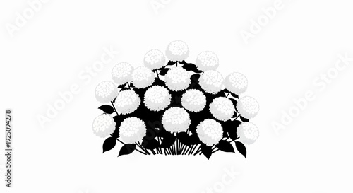 A stylized illustration of a cluster of white, round flowers