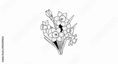 A black and white line drawing of a bunch of daffodils