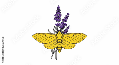 Yellow moth with lavender flowers, delicate drawing