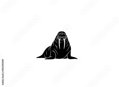 A detailed illustration of a walrus resting on a snowy landscape. isolated on transparent background, isolated on white background, Vector