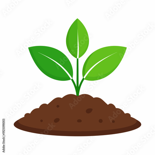 Centered cartoon illustration of a young plant growing from soil, showing a slender green stem and three teardrop leaf shapes emerging from brown dirt, viewed from a simple front perspective
