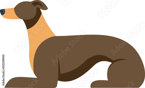 Greyhound dog relaxing minimalist flat cartoon illustration