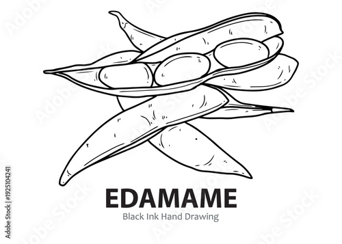 Black ink hand drawing illustration of fresh edamame pods with beans inside, a healthy and nutritious snack.