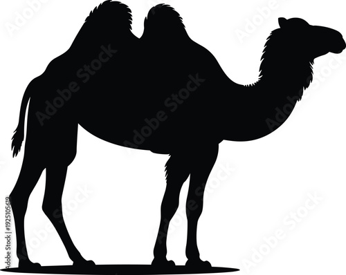Black camel silhouette isolated on white background, desert animal side view, wildlife illustration, Arabian dromedary icon graphic design
