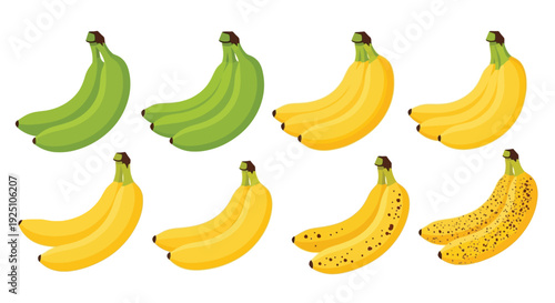 A collection of bananas showcasing various stages of ripeness