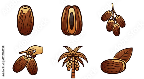 Illustration of various dates and date palm tree elements on a white background, showcasing different types of dates and a palm tree with dates.