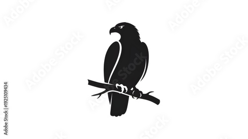 Majestic black eagle perched on branch looking alert