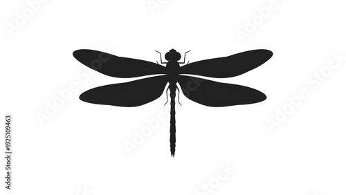 Elegant black dragonfly silhouette with spread wings