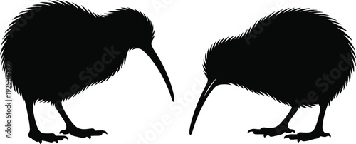 Kiwi bird silhouette pair isolated on white background, New Zealand flightless bird wildlife animal illustration set