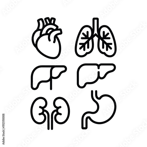 Collection Human Organ Illustrations Medical Vector Icon