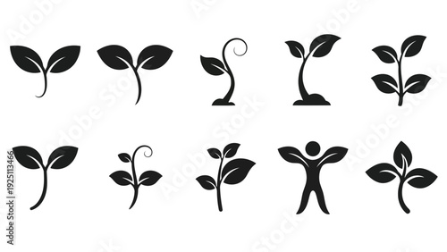 Stages of plant growth and human development illustrated with simple icons