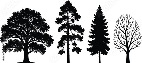 "Tree silhouette illustration, diverse tree shapes, botanical diversity, forest ecosystem, nature conservation, black silhouette artwork, ecological education design"