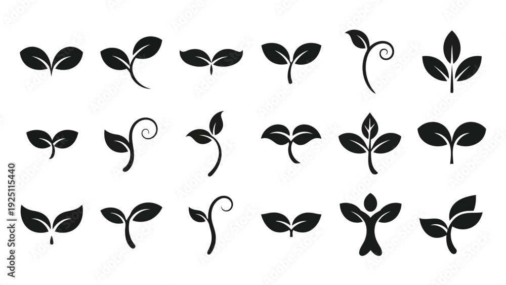 Fototapeta premium Elegant black and white botanical leaf and vine decorative pattern collection