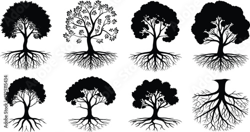 Tree silhouettes illustration with visible roots, diverse canopy shapes, botanical design concept, nature artwork, black and white composition for education