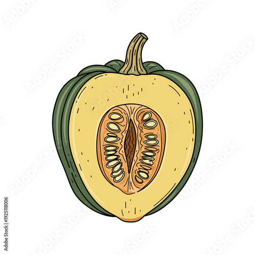 An acorn squash cut in half with yellow flesh and seeds. Isolated transparent background ( include cut-out PNG file )