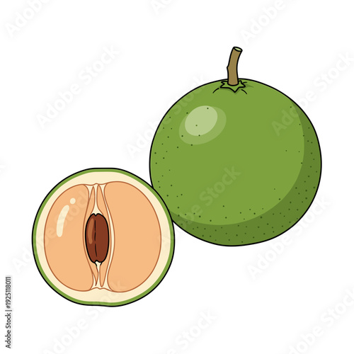 green round fruit and half sliced fruit on isolated transparent background ( include cut-out PNG file )