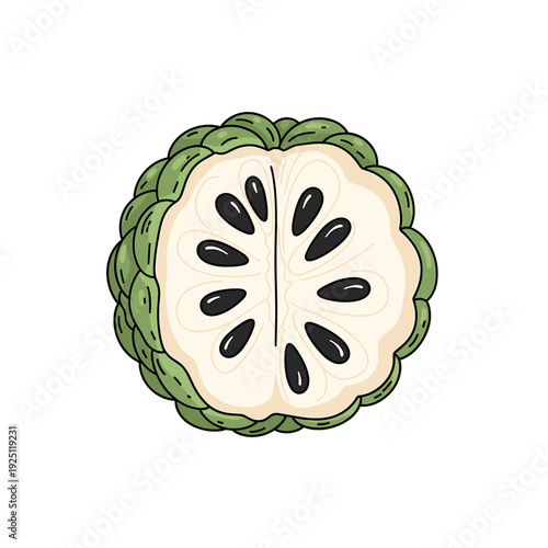Custard apple fruit half showing white flesh and black seeds Isolated transparent background ( include cut-out PNG file )